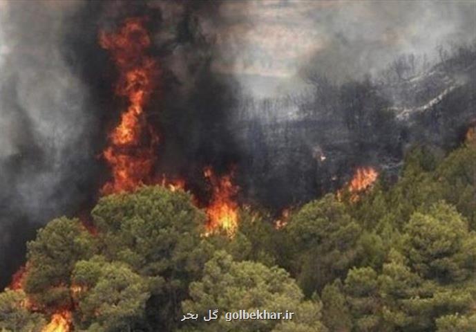 ۶۸ هكتار از جنگل های گیلان در آتش سوخت