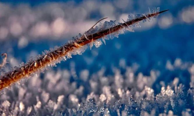 كاهش دمای هوای تهران به زیر صفر درجه
