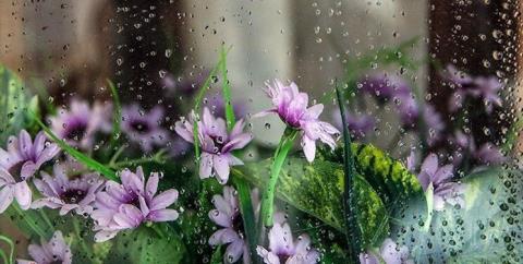 اغلب استان ها تا ۴ روز آینده بارش دارند