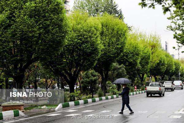 بارش باران و كاهش دما در بعضی نقاط كشور