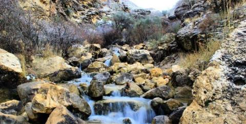 افزایش نسبی دما در كشور