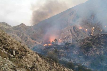 21 هكتار از اراضی ملی مرتعی خاییز تنگستان در آتش سوخت