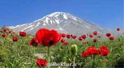 اگر منطقه وقف شده دماوند مرتع باشد اراضی ملی تلقی می شود