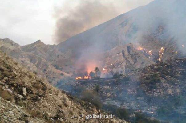 21 هكتار از اراضی ملی مرتعی خاییز تنگستان در آتش سوخت