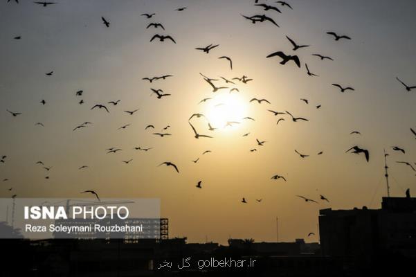 ایران در مرداد ماه ۱ و نیم درجه گرمتر از همیشه بود