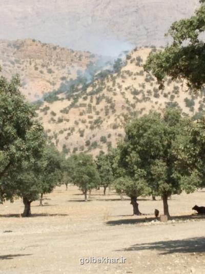 آتش سوزی در جنگل های منطقه حفاظت شده دنا