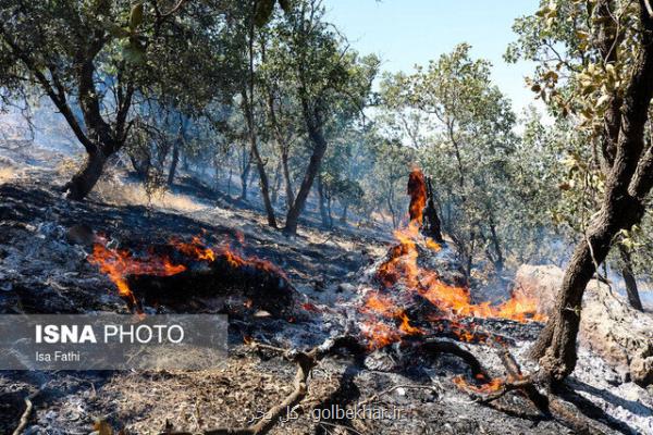 مهار آتش سوزی جنگل ها و مراتع ارتفاعات شهرستان چرام