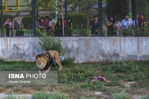 بیماری و مرگ و میر حیوانات در اسارت